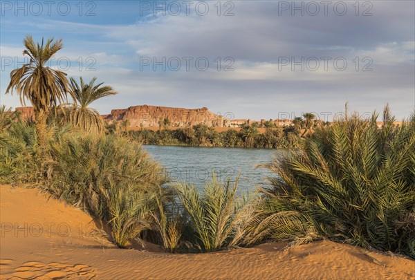 The shore of Ounianga kebir part of the the Unesco sight Ounianga lakes