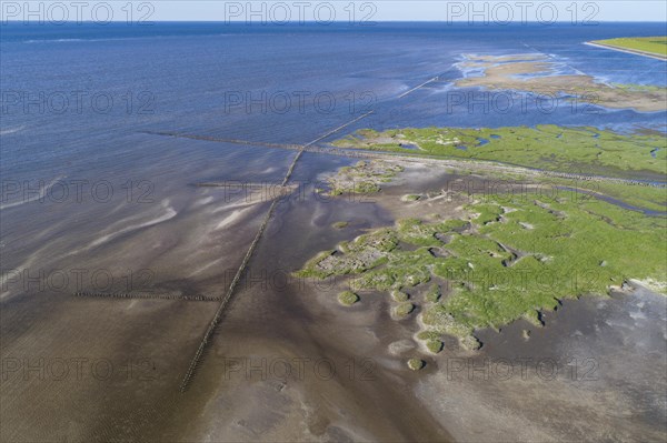 Salt marshes in front of the dike