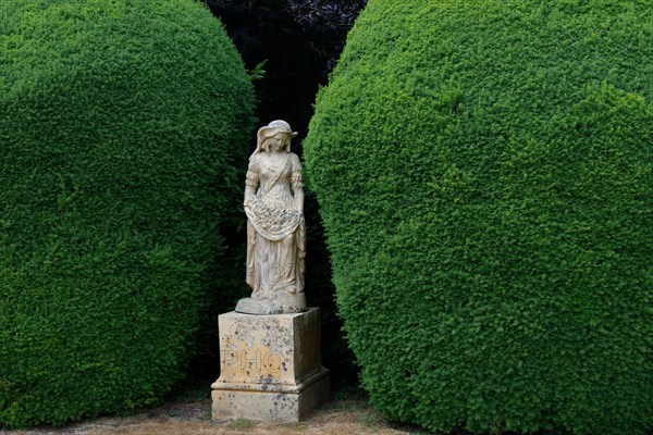 Statue and yew tree in topiary