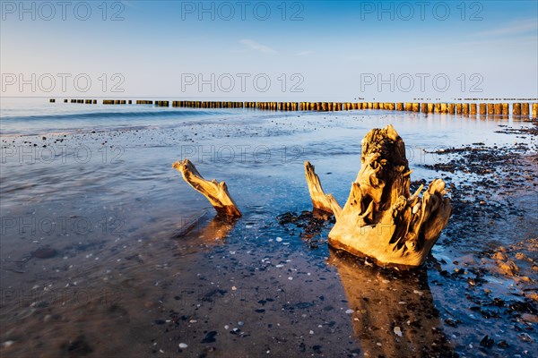 Evening at the beach of the Baltic Sea