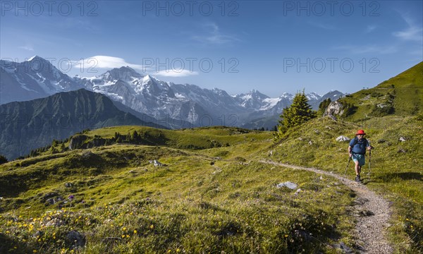 Hikers at the Schynige Platte