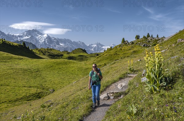 Hiker at the Schynige Platte