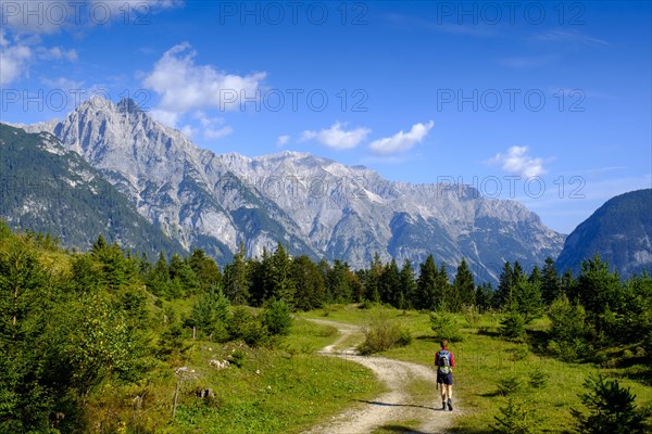 Hiker at the Katzenkopf