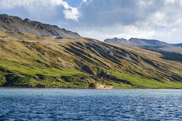 Stranded old whaling boat