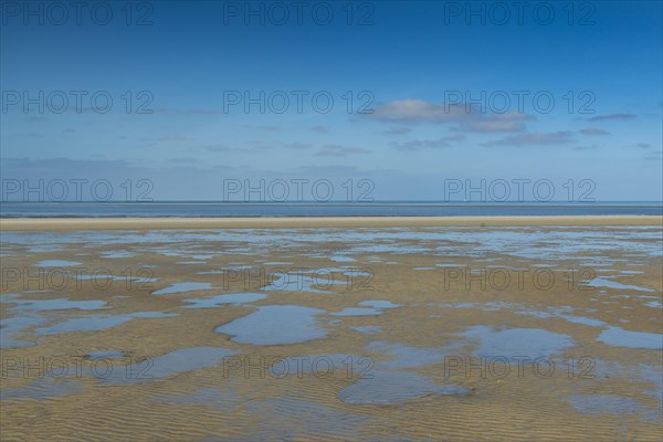 Mudflats at low tide