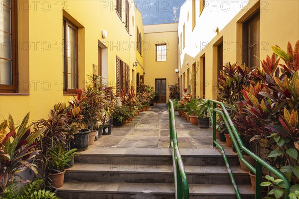 Patio with potted plants