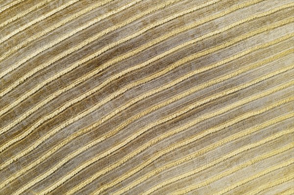 Bales of straw and abstract patterns in cornfield after wheat harvest