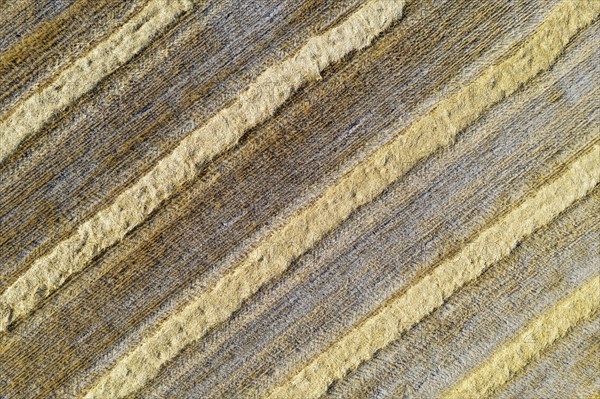 Bales of straw and abstract patterns in cornfield after wheat harvest