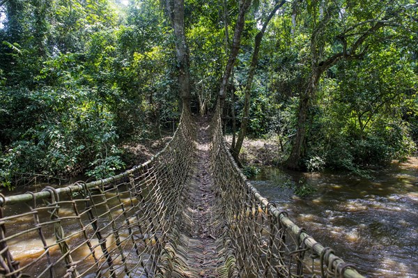 Hand made vine bridge in the Unesco world heritage sight Dzanga-Sangha Park Central African Republic