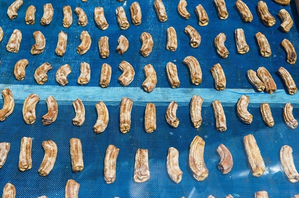 Bananas drying in the sun