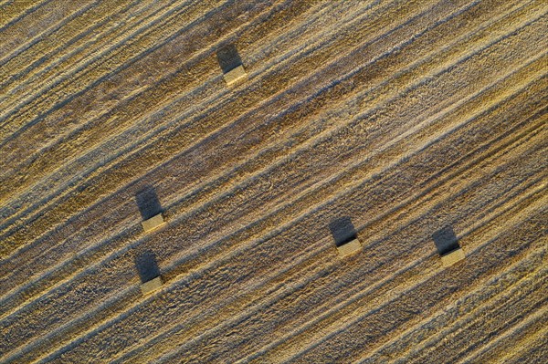 Bales of straw and abstract patterns in cornfield after wheat harvest