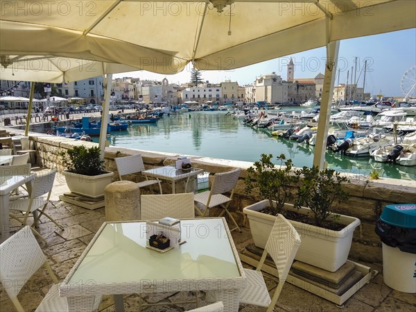 Trani old town and port