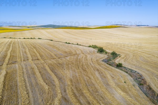 Abstract patterns in cornfield after wheat harvest and dry stream