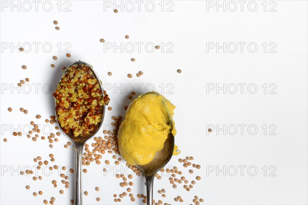 Grainy and fine mustard in spoon