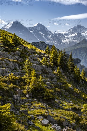 Alpine landscape