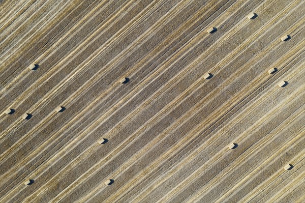 Bales of straw and abstract patterns in cornfield after wheat harvest