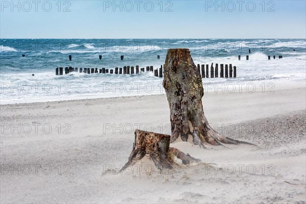 Winter storm at the Baltic Sea