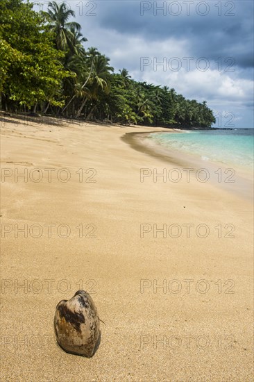 Coconut on Banana beach