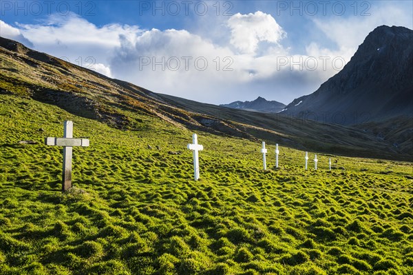 Crosses for dead whalers