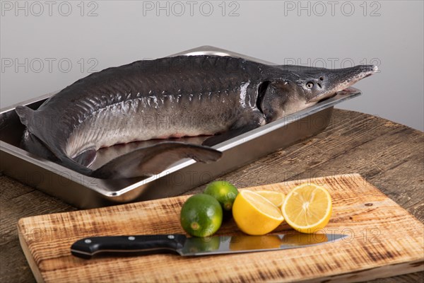 Raw sturgeon fish with limes and lemons around it