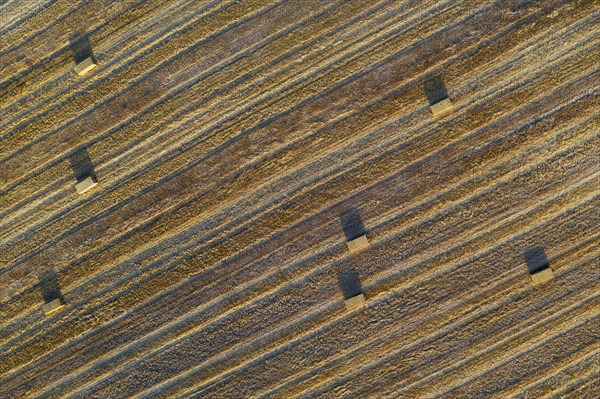 Bales of straw and abstract patterns in cornfield after wheat harvest