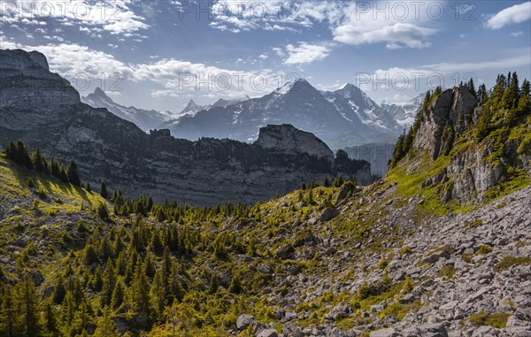 Alpine landscape