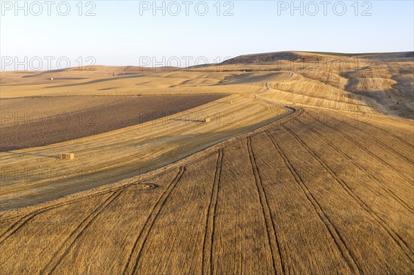 Bales of straw and abstract patterns in cornfield after wheat harvest