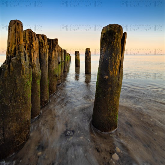 Old groyne on the beach of the Baltic Sea at dawn