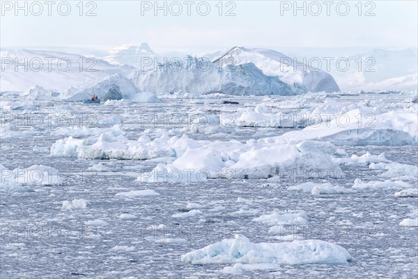 Many pack ice and large icebergs