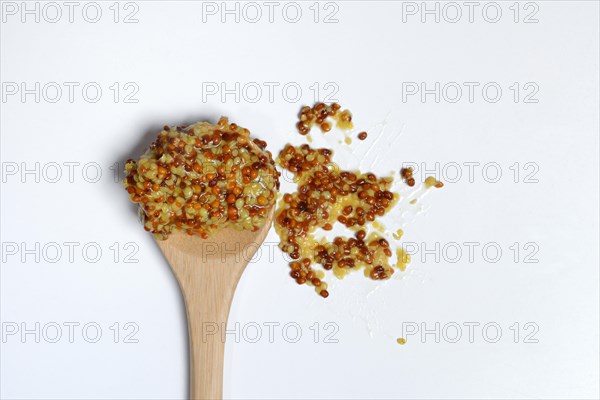 Grainy Dijon mustard on wooden spoon