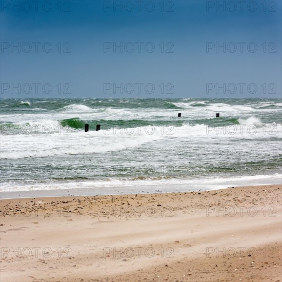 Winter storm at the Baltic Sea