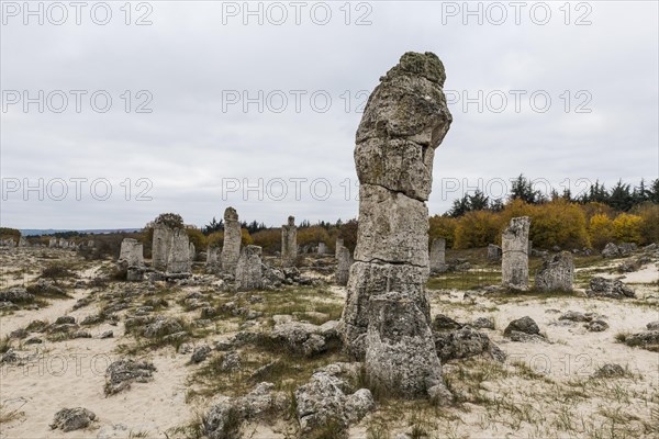 Stone desert Pobiti Kamani rock phenomenon