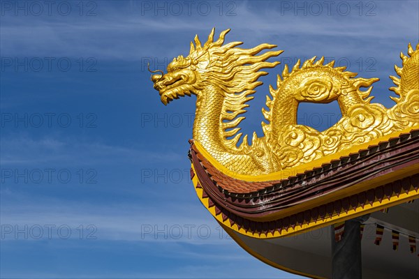 Detail of dragons on the ceiling at the Ho Quoc Pagoda Buddhist temple