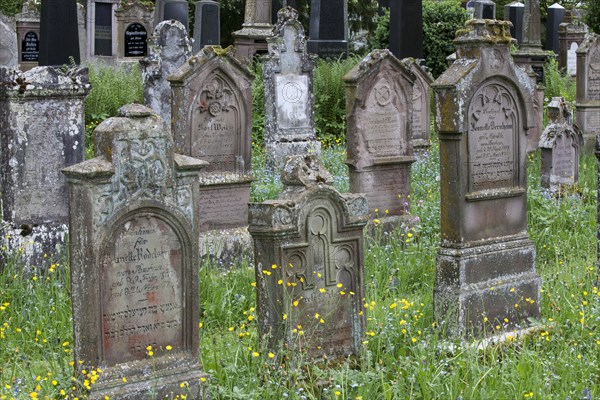 Gravestones at the Jewish cemetery