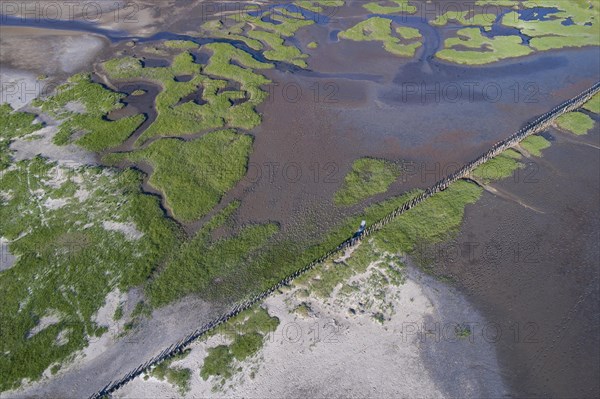 Salt marshes in front of the dike