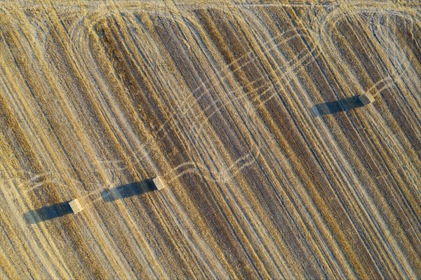 Bales of straw and abstract patterns in cornfield after wheat harvest