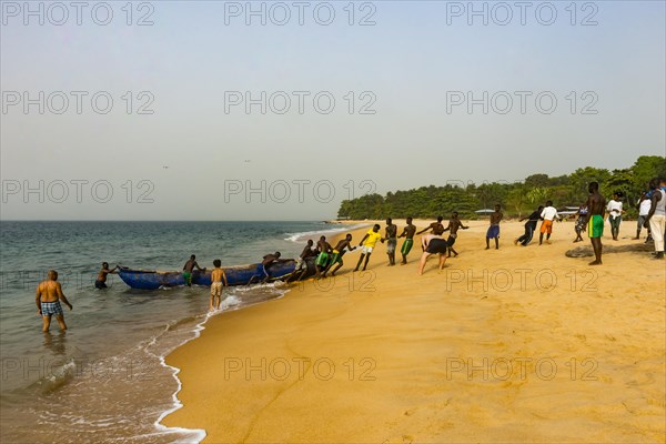 Local fishermen pulling their nets on a beach in Robertsport