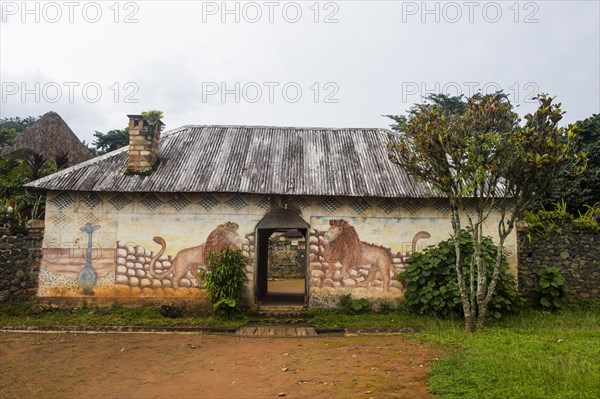 Women´s house