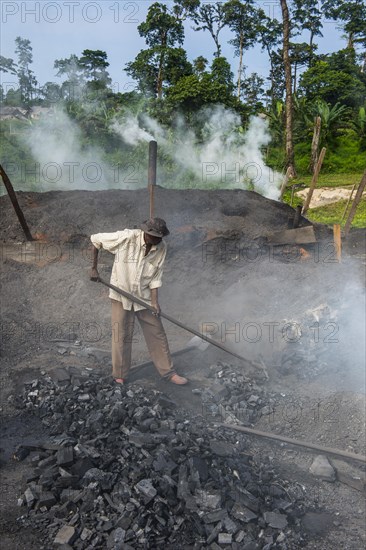 Coal production out of wood