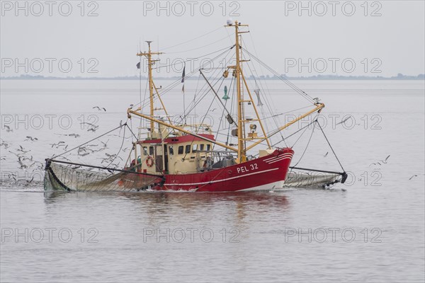 Crab cutter in the Wadden Sea