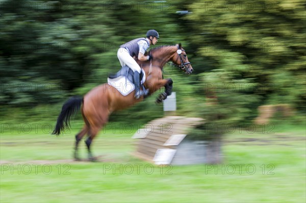 Galloping horse jumping