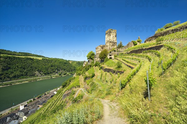 Gutenfels Castle on the Rhine