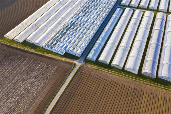 Fields and greenhouses from bird's eye view