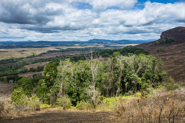 Padges of rainforest in the savannah of the Unesco world heritage sight Lope national park