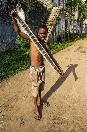 Boy prsenting a dead python skin before the old plantation Roca Bombaim in the jungle interior of Sao Tome