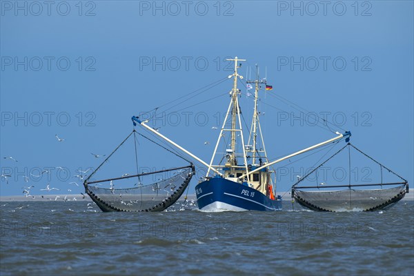 Crab cutter in the Wadden Sea