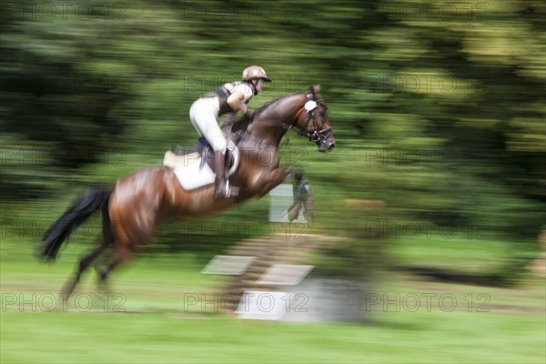 Rider over jumps obstacle with horse