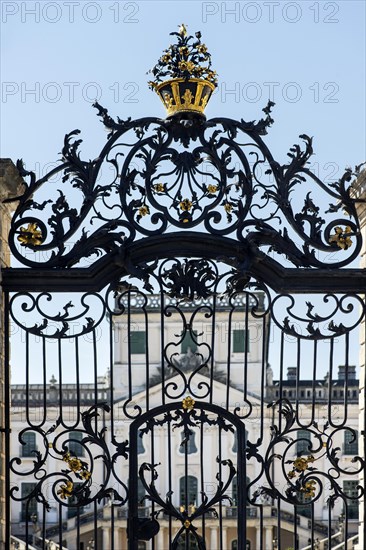 Wrought iron grille