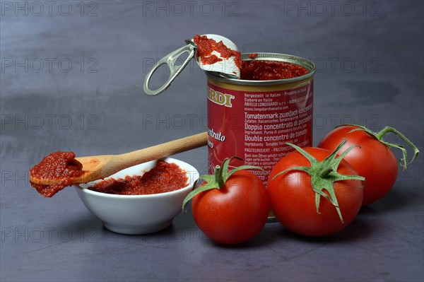 Tomato paste in can and skin