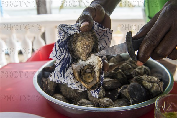 Big plate of Oysters